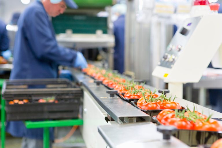 Workers busy in food processing