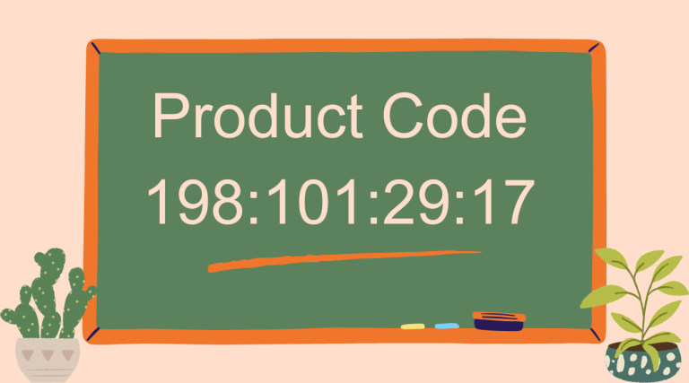 198:101:29:17
