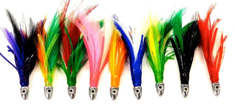 Feathered Bonito